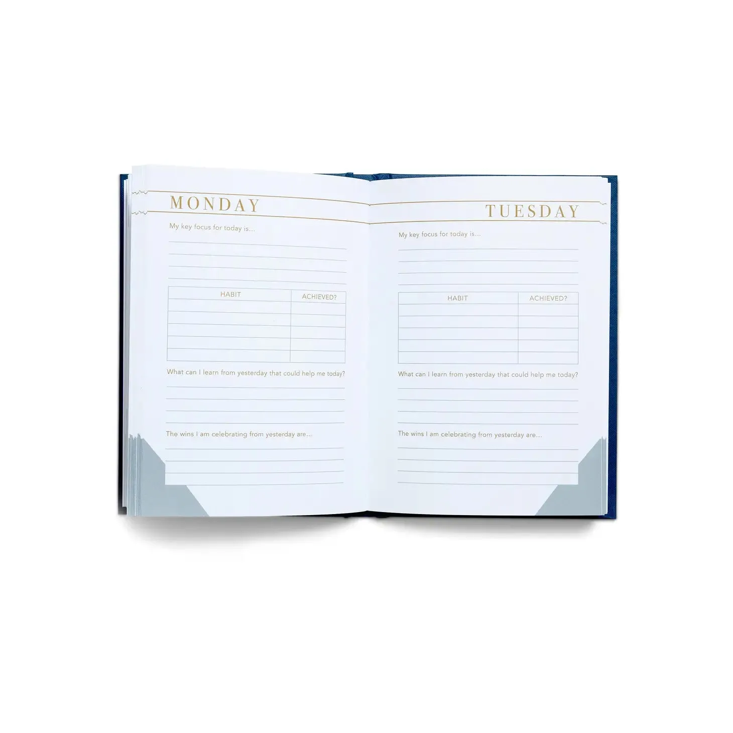 Habit Notes: Daily Habit Tracking Journal