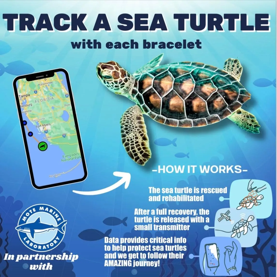 KoaKoa Moonlight Bead Sea Turtle Tracking Bracelet, helps save sea turtles, fully adjustable Men and Women