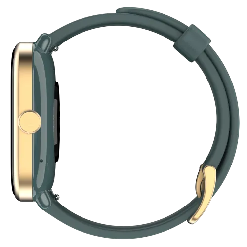 Noise ColorFit Pro 4 Smart Watch