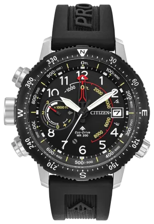 Promaster Altichron